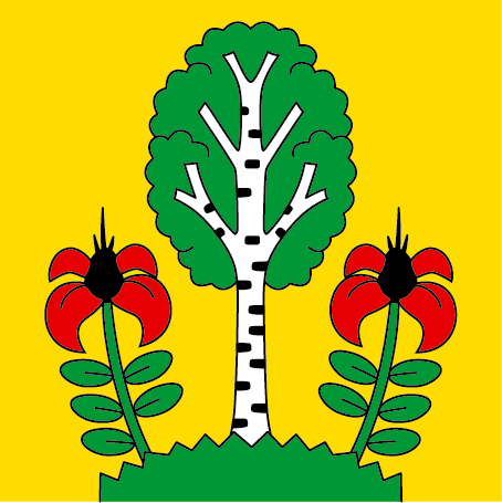 Hissfahne 