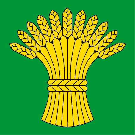 Hissfahne 