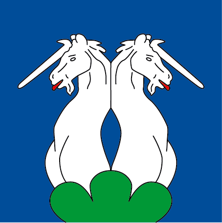 Hissfahne 
