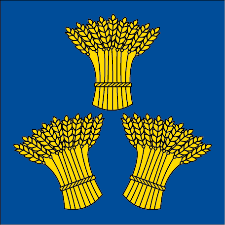 Hissfahne 