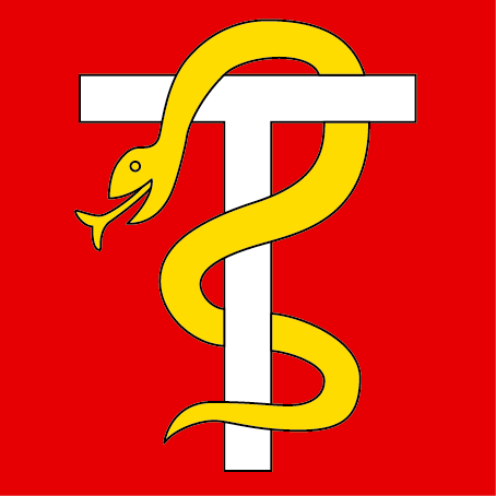 Hissfahne 