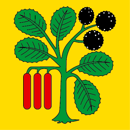 Hissfahne 