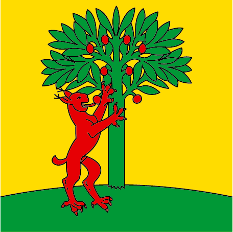 Hissfahne 