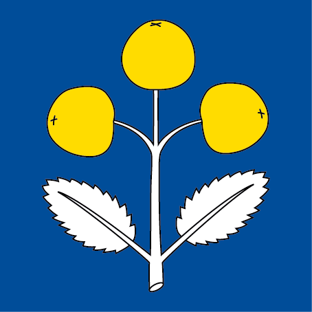 Hissfahne 