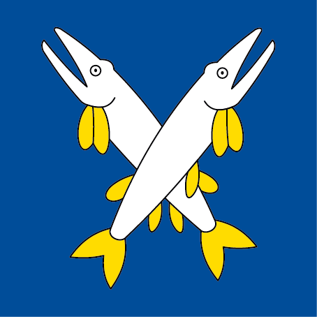 Hissfahne 