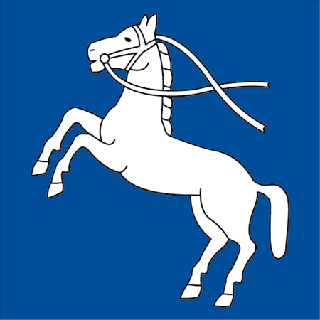 Hissfahne 