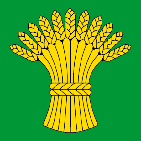 Hissfahne 