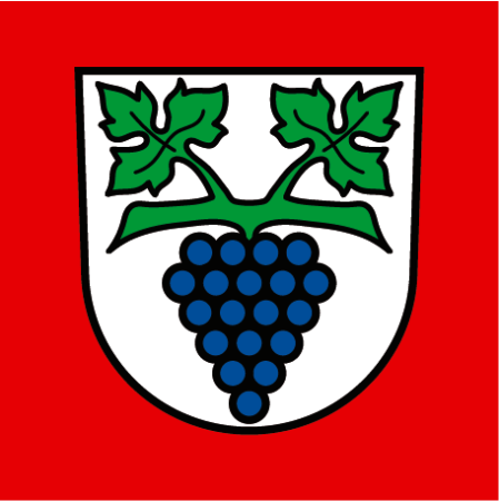 Hissfahne 