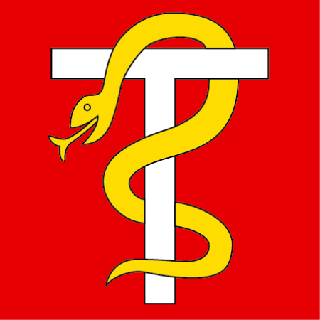 Hissfahne 