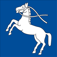 Hissfahne 