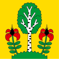 Hissfahne 