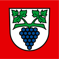 Hissfahne 