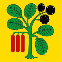Hissfahne 