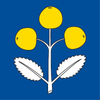 Hissfahne 